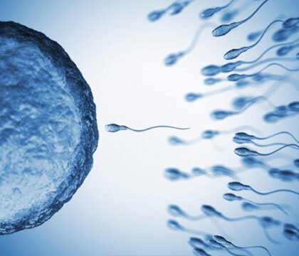 Best IVF Specialist in Indore