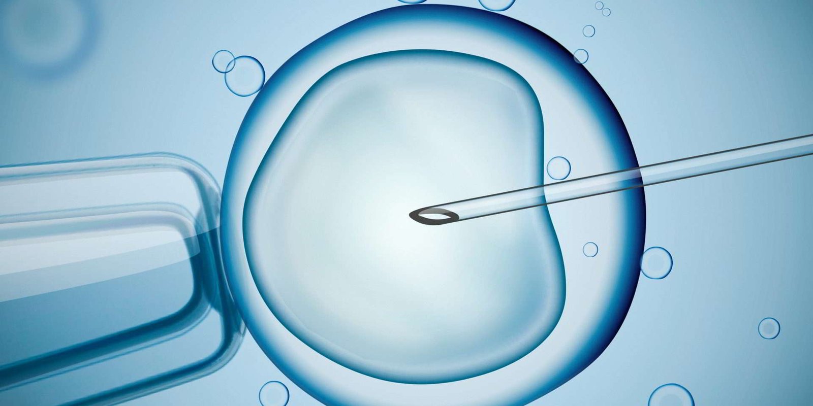 infertility specialist doctor