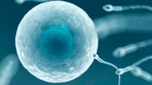 Best IVF Specialist in Indore