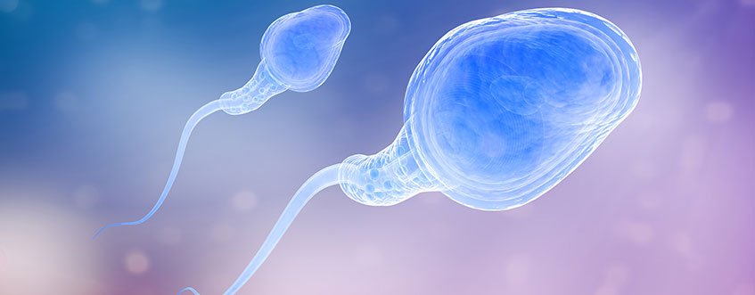 infertility specialist in india