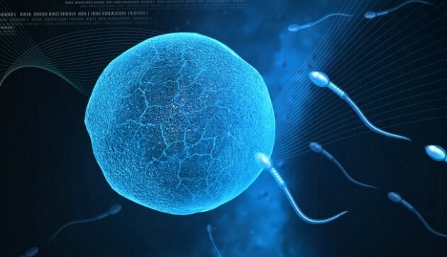 Best infertility hospital
