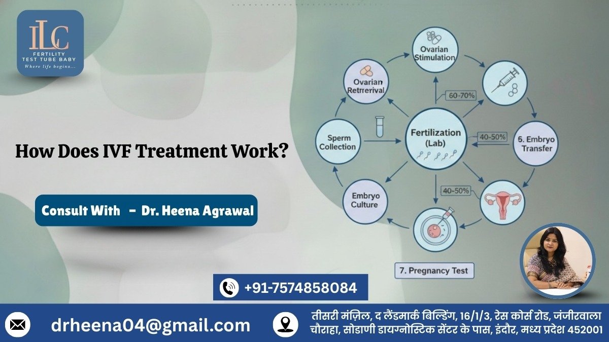 How Does IVF Treatment Work