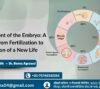 Development of the Embryo A Journey from Fertilization to Formation of a New Life