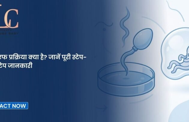 आईवीएफ प्रक्रिया क्या है? जानें पूरी स्टेप-बाय-स्टेप जानकारी