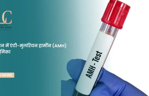 बांझपन में एंटी-मुलरियन हार्मोन (AMH) की भूमिका