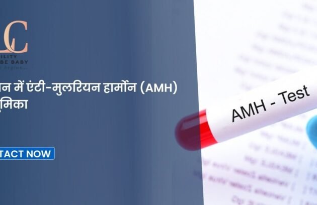 बांझपन में एंटी-मुलरियन हार्मोन (AMH) की भूमिका