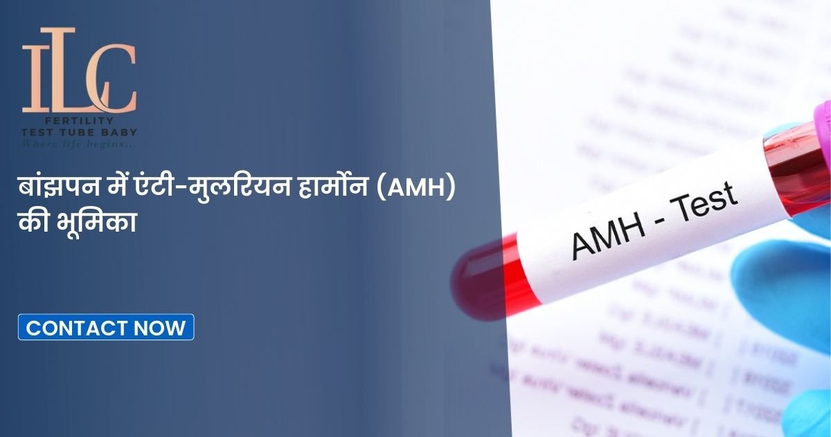 बांझपन में एंटी-मुलरियन हार्मोन (AMH) की भूमिका