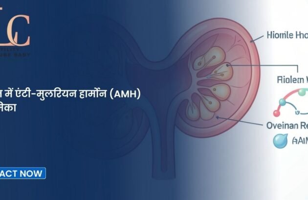 बांझपन में एंटी-मुलरियन हार्मोन (AMH) की भूमिका