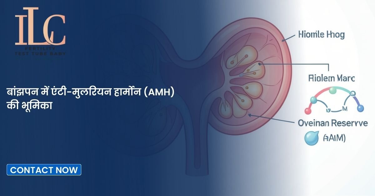 बांझपन में एंटी-मुलरियन हार्मोन (AMH) की भूमिका