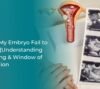 Why Did My Embryo Fail to Implant